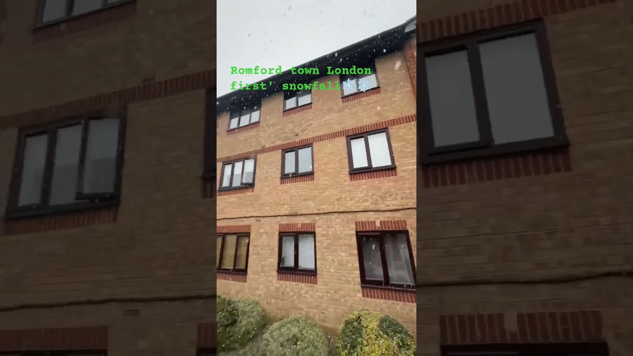 first snowfall🌨️❄️ 