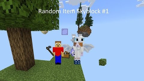 Random Item Skyblock (Part 1)