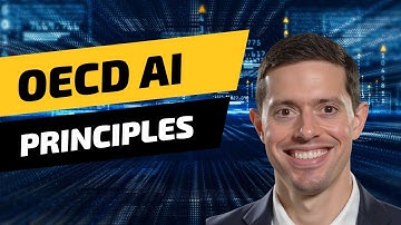 OECD AI Principles - AIGP Certification
