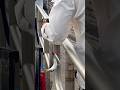 Million Menhaden madness bait fish #fishing #fish #fishingvideo