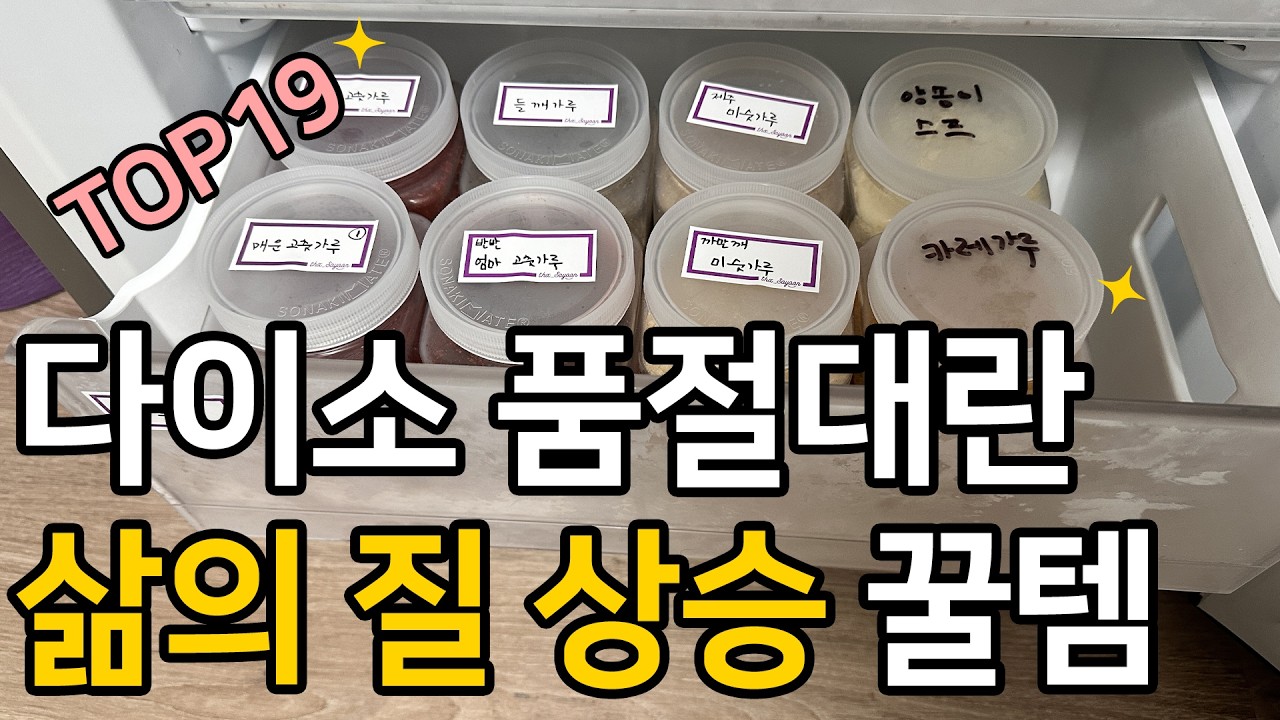 다이소 매출1등 몰아보기 l 보이면 바로 사야 할 다이소 추천템 l 가성비템