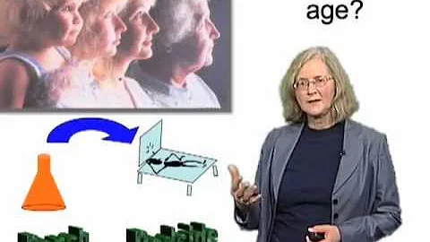 Elizabeth Blackburn (UCSF) Part 3: Stress, Telomer...