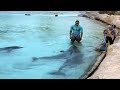 Atlantis Hotel - Palm Jumeirah Dubai 4K - YouTube