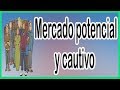 ¿Qué es el MERCADO POTENCIAL y CAUTIVO?📊📈😍   / 3 TIPOS de CLIENTES CAUTIVOS y como CREARLOS 🤝