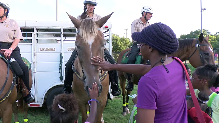 ECSO Mounted Posse Interview  Lori Goodwin