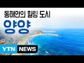 [YTN 구석구석 코리아] 동해안의 힐링 도시, 양양 / YTN