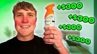 I made $8000 while sick from my remote cleaning business! Profile