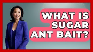 What Is Sugar Ant Bait? - Insects and Invaders