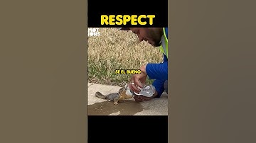 Aún puedes cambiarlo todo" 🌟✨#Motivación #Inspiración #shorts