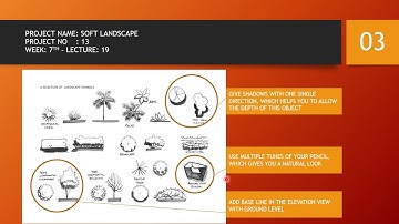 Architectural Graphics drawing (Soft landscape objects)
