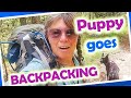 Solo Backpacking on the Colorado Trail to Slide Lake//Sadie's First Backpacking Trip!