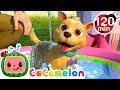 Bath Time with Bingo | Animals for Kids | Animal Cartoons | Funny Cartoons | Learn about Animals