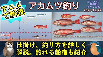 アカムツ Youtube