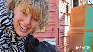 lo mejor de Sierras Bayas