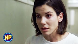 28 Days What Kind Of Person Jumps Out Of A Window