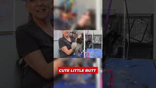 Пышная попа: новый образ Новеллы! 🎀