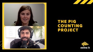 The Pig Counting Project - Dr. Annie Lerner