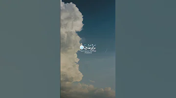 قل ربي اما تريني ما يوعدون بصوت رعد الكردي اسلام صبحي شريف مصطفى 