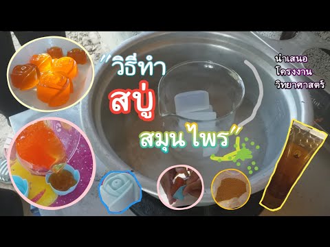 โครงงานวิทยาศาสตร์ โครงงานเรื่อง สบู่สมุนไพร