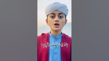 Beautiful Recitation of quran #shorts #shortsfeed #quran #islamicvideo #tilawat