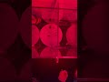 Experiment 1 trial 2
