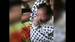 Chura Wa Pwani Youtube