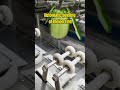 Automatic peeling. #industrial #factory #spraying #machine #welding #robot #peeling