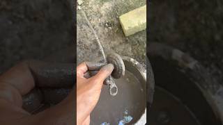 Gas Ing Kena Lumpur shorts