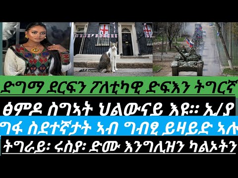 ድግማ ደርፍን ፖለቲካዊ ድፍእን ትግርኛ/ፅምዶ ስግኣት ህልውናይ እዩ። ኢ/ያ/ግፋ ስደተኛታት ኣብ ግብፂ/ካልኦትን