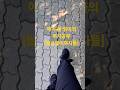 월부강의후기 애기 둘 엄마도 부동산 투자강의듣고 임장다녀올 수 있다 월부강의후기 애기 둘 엄마도 부동산 투자강의듣고 임장다녀올 수 있다