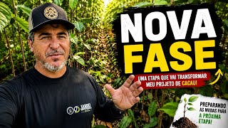 Chegou a HORA de preparar as mudas de CACAU para a próxima etapa🌱