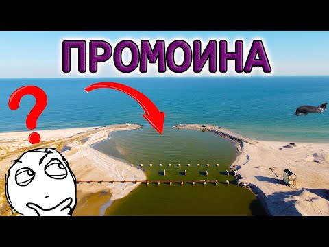 ПРОМОИНА в МОЛОЧНЫЙ ЛИМАН! ЧТО с ней ПРОИЗОШЛО? Обзор с высоты РЕДКИЕ КАДРЫ: ДЕЛЬФИНЫ, КИРИЛЛОВКА...