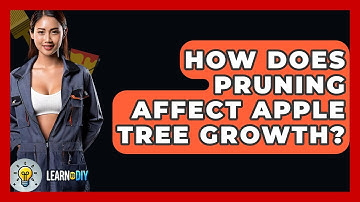 How Does Pruning Affect Apple Tree Growth? - LearnToDIY360.com