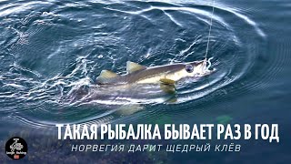видео: ВОТ ОНО РЫБАЦКОЕ СЧАСТЬЕ! ТАКОЙ РЫБАЛКИ У МЕНЯ ЕЩЁ НЕ БЫЛО! Рыбалка в Норвегии с берега. Люр. Треска картинка: ВОТ ОНО РЫБАЦКОЕ СЧАСТЬЕ! ТАКОЙ РЫБАЛКИ У МЕНЯ ЕЩЁ НЕ БЫЛО! Рыбалка в Норвегии с берега. Люр. Треска