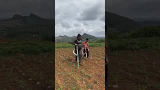 Traditional Farming Techniques! 🌽 #shorts #farming #agriculture #villagelife
