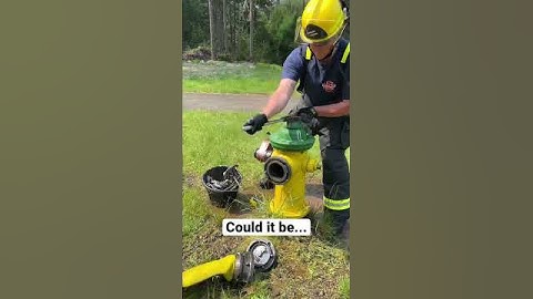 Pump Operations and the FLOW💧