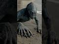 Mysterious Mermaid Discovered Washed Ashore on Jamaican Beach