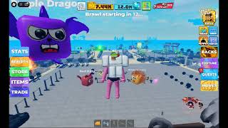 robloxapp 20250108 1740534