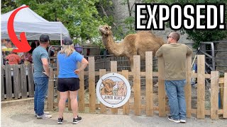 Family Vloggers Exposed! @junodacres Kissing A Camel | Tabouleh Fest 2024 in Bristow Oklahoma!