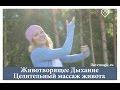 Животворящее дыхание и Целительный массаж живота