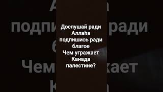 #германия #израиль #франция #испания #норвегия #мироваяполитика #alhamdulillah