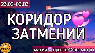 🌘❤️Исправить 💞Отношения, секреты счастья,  магия 🔮просто 👁 посмотри