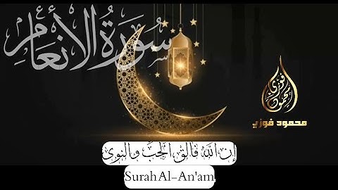 إن الله فالق الحَبِّ والنوى _ سورة الأنعام | تراويح الليلة الثامنة رمضان 1445ه 2024م | محمود فوزي