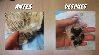 Almohadillas Secas (Remedio Casero) screenshot 5