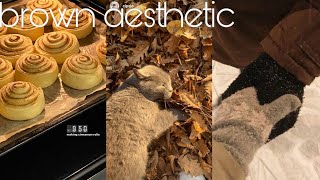 brown, autumn aesthetic or wallpaper screenshot 5