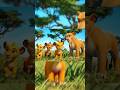 Lion Family Story #shorts