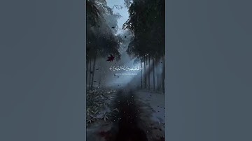 #قرآن كريم { سورة العنكبوت - الآية 60 ~ 63 } القارئ عبدالرحمن مسعد .