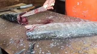 Teaching How To Clean Fish. Big Fish Cutting Tutorial. Cut Dolmi