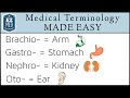Medical terminology made easy root words nursing students coding