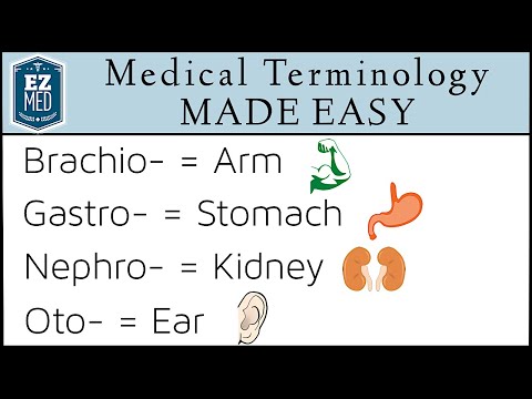 Medical Terminology Made Easy: Root Words
